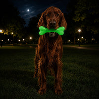 PUP-X Rubber Glow in the Dark Chew Bone Dog Toy - Durable, Floats, Chew Toy for Large Dogs | USA