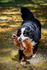 Maple Moose X-Brace® Durable Plush Dog Toy