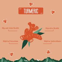 Turmeric Yak Milk Chews for Dogs