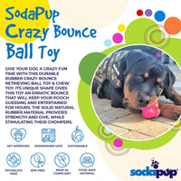 Crazy Bounce Rubber Dog Chew Toy for Power Chewers | Retrieving Ball | USA Made