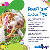 MOD Wishbone Nylon Dog Chew Toy for Aggressive Chewers | USA Made