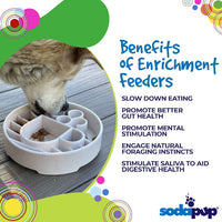 SodaPup Java Slow Feeder Bowl