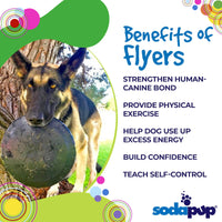 Magnum Bottle Top Flyer Rubber Frisbee for Heavy Chewers | Large | USA Made