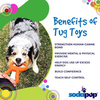 SodaPup Pop Top Rubber Tug Toy