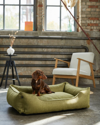 Chester & Lee | Cotton Sleeper Dog Bed Olive