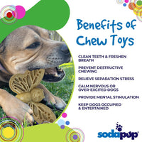 Butterfly Nylon Chew & Enrichment Toy | 2-in-1 for Aggressive Chewers | SodaPup