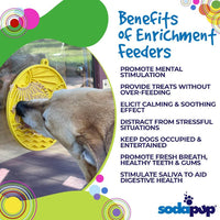 SodaPup Sun n’ Sea Suction Lick Mat
