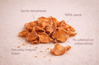Carrot Chips for Dogs | Crunchy Treat | Whisker & Tail Co.
