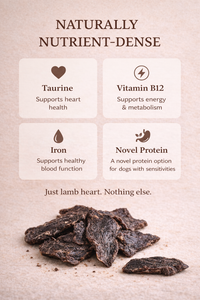 Lamb Heart for Dogs & Cats | Protein-Rich Treat | Whisker & Tail Co.