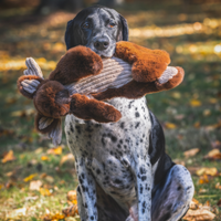 Maple Moose X-Brace® Durable Plush Dog Toy