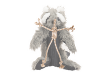Redwood Raccoon X-Brace® Plush Dog Toy
