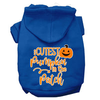 Halloween Pet Hoodie "Cutest Pumpkin In The Patch"