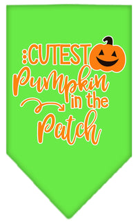 Halloween Pet and Dog Bandana Screen Printed, "Cutest Pumpkin In The Patch"