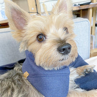 'Aiden' Reversible Pet Bandana