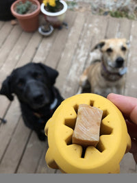 SodaPup Gear Chew Holder