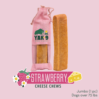 Strawberry Cheese Chews for Dogs