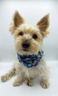 'Blair' Reversible Pet Snood