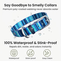 Rubyloo Waterproof Dog Collar