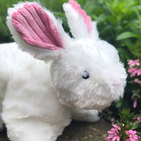 Squooshie™ Bunny Plush Dog Toy