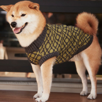 The Matcha | Olive Green Ribbed Knit Dog Sweater