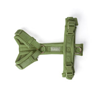 Green - Comfort Dog Harness