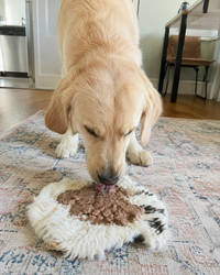 Rabbit Hide Plate for Dogs | Single-Ingredient Natural Chew | Whisker & Tail Co.