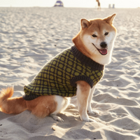 The Matcha | Olive Green Ribbed Knit Dog Sweater