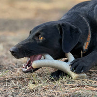 Ever Antler Nylon Chew Bone | Elk Antler Shaped Dog Toy for Aggressive Chewers | SodaPup