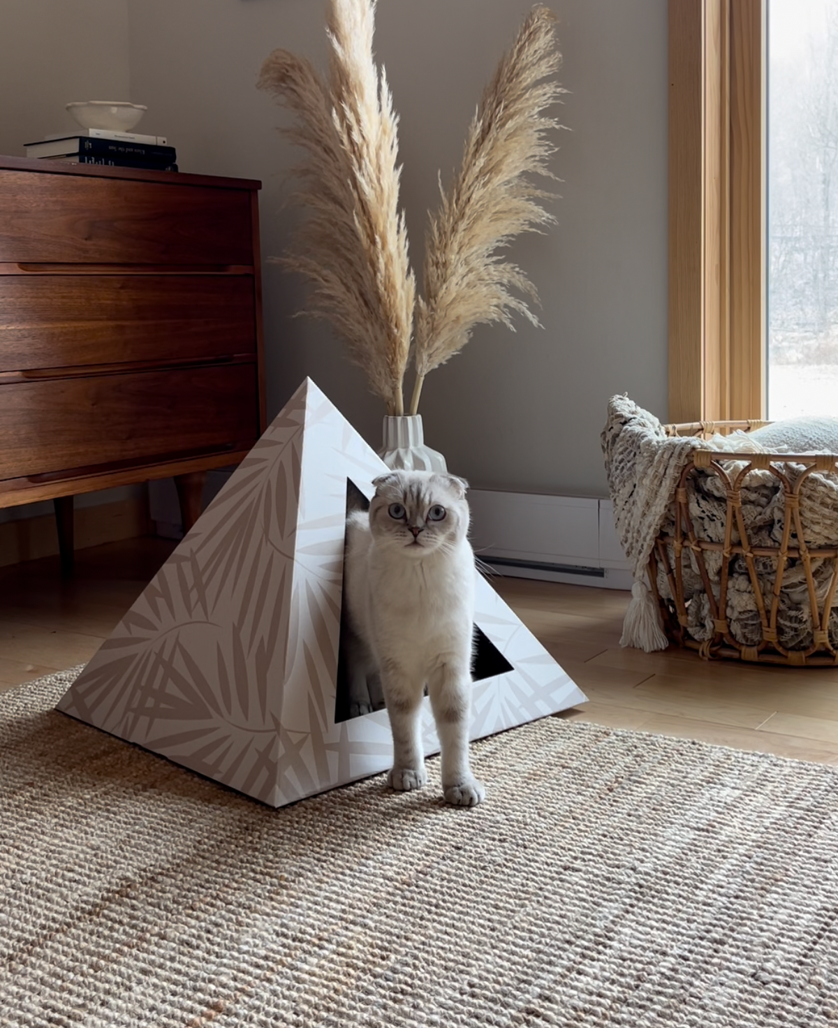 KittyKardboard Neutral Palm Cat Hideout