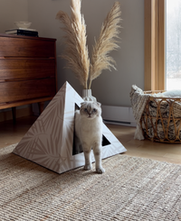 KittyKardboard Neutral Palm Cat Hideout