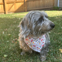 Tie-on Dog Bandana | Adjustable String-tie Bandana for Dogs
