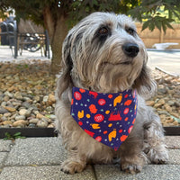 Tie-on Dog Bandana | Adjustable String-tie Bandana for Dogs