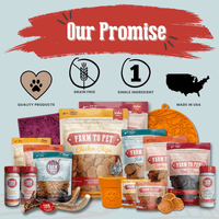 Fish Chips for Dogs | Wild-Caught Fish Dog Treats