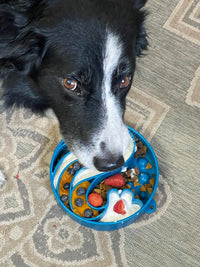 Wave eBowl Deep Slow Feeder Dog Bowl for Enrichment | Made in USA