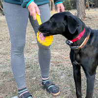 SodaPup eStick Handheld Lick Toy