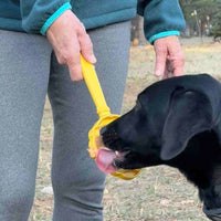 SodaPup eStick Handheld Lick Toy