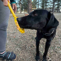 SodaPup eStick Handheld Lick Toy