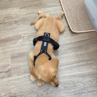 FURLOU Comfort Harness — Black