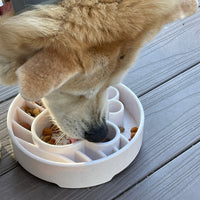 SodaPup Java Slow Feeder Bowl