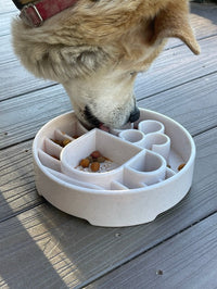 SodaPup Java Slow Feeder Bowl
