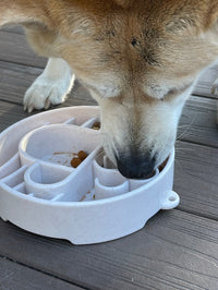 SodaPup Java Slow Feeder Bowl