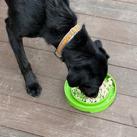 SodaPup Garden Slow Feeder Tray