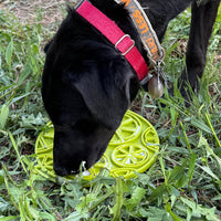 SodaPup Citrus Suction Lick Mat