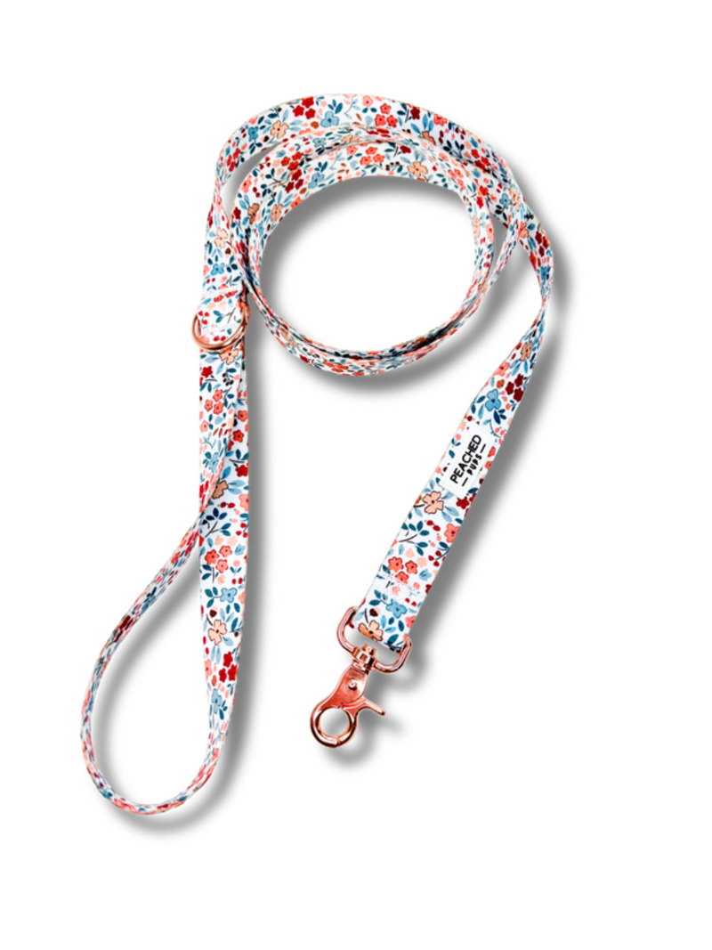 Autumn Bloom Leash