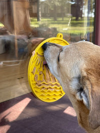 SodaPup Sun n’ Sea Suction Lick Mat