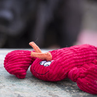 McCraken Lobsta™ Knottie® Plush Dog Toy