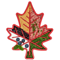 Canadian Maple Leaf Nylon Dog Chew Toy - Durable & USA Made