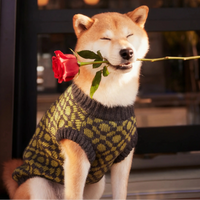 The Matcha | Olive Green Ribbed Knit Dog Sweater