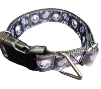 Halloween Skeleton Nylon Dog Collar