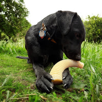 Flufflehorn Dental Antler - Durable Nylon Dog Chew Toy XL | USA Made